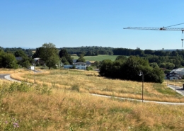 Klosterwiese1