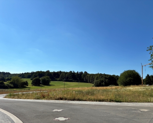 Klosterwiese4